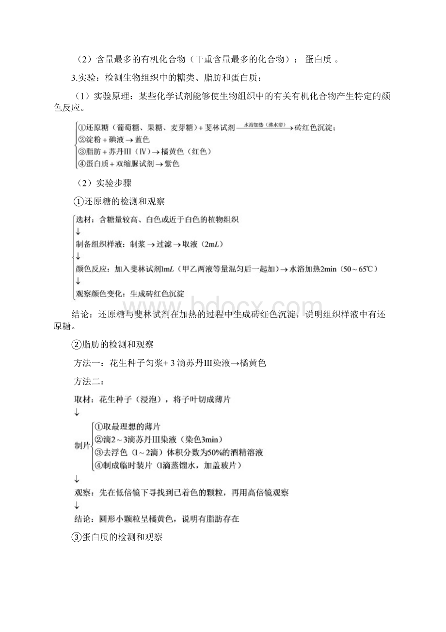 高中生物基础知识汇总精心整理Word文件下载.docx_第2页