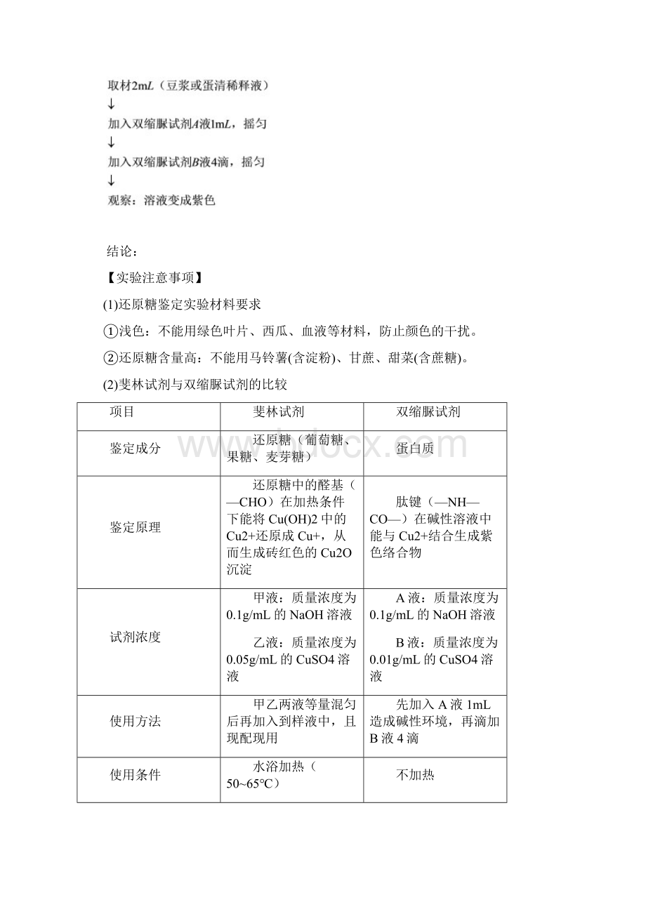 高中生物基础知识汇总精心整理Word文件下载.docx_第3页