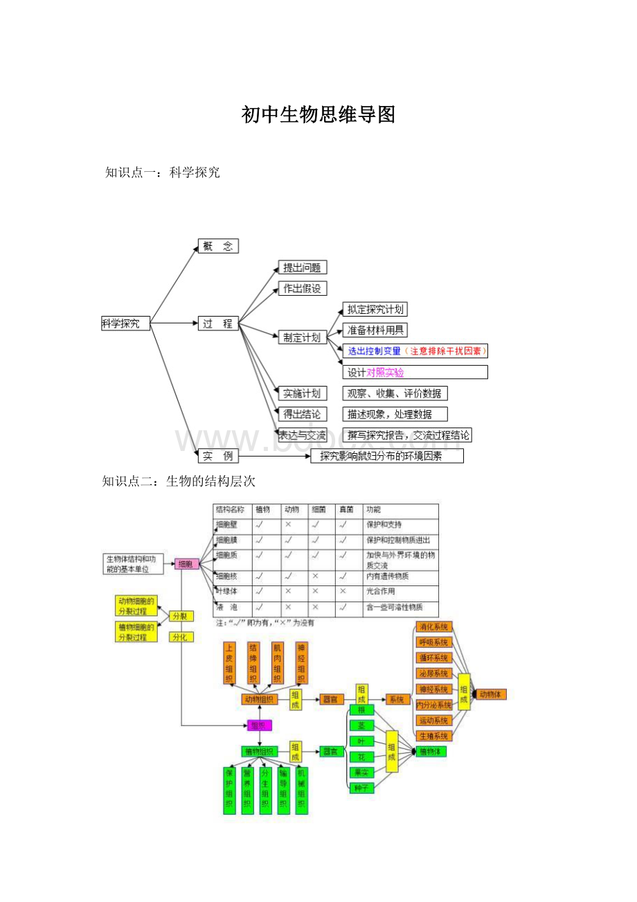 初中生物思维导图文档格式.docx_第1页