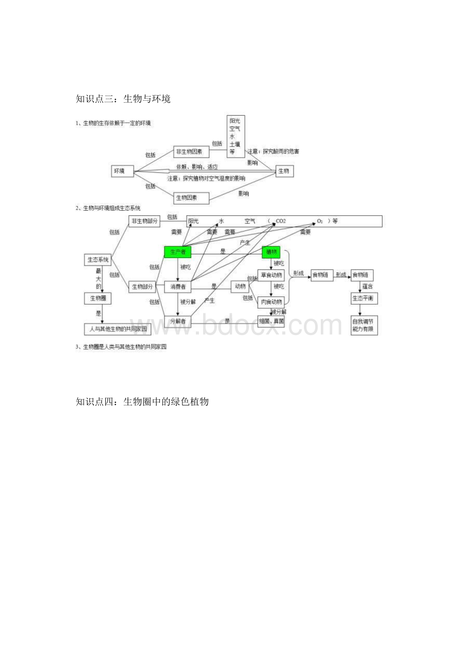 初中生物思维导图文档格式.docx_第2页