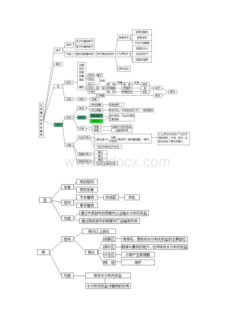 初中生物思维导图文档格式.docx_第3页