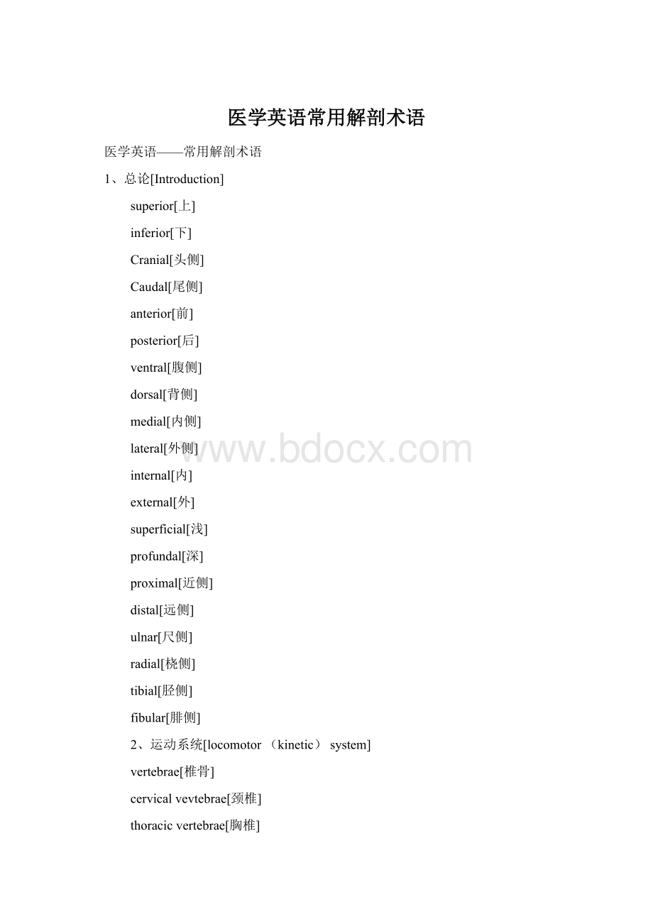 医学英语常用解剖术语Word格式文档下载.docx