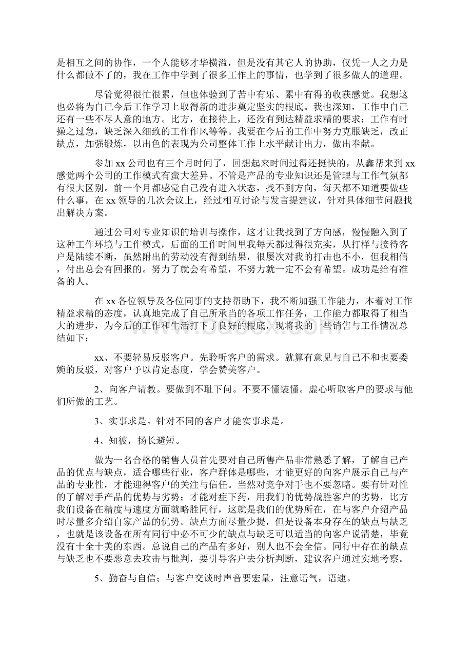 销售年终工作总结范文集锦八篇Word文档格式.docx_第2页