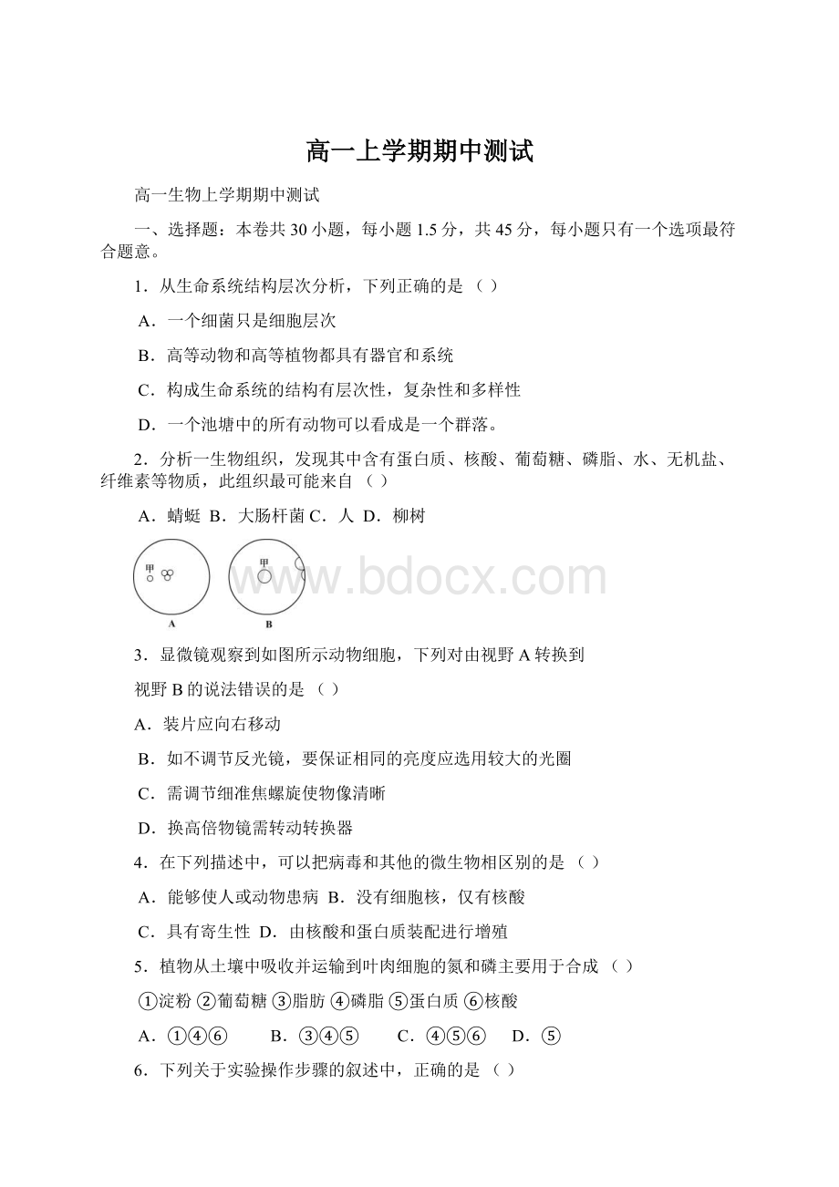 高一上学期期中测试Word文档下载推荐.docx_第1页