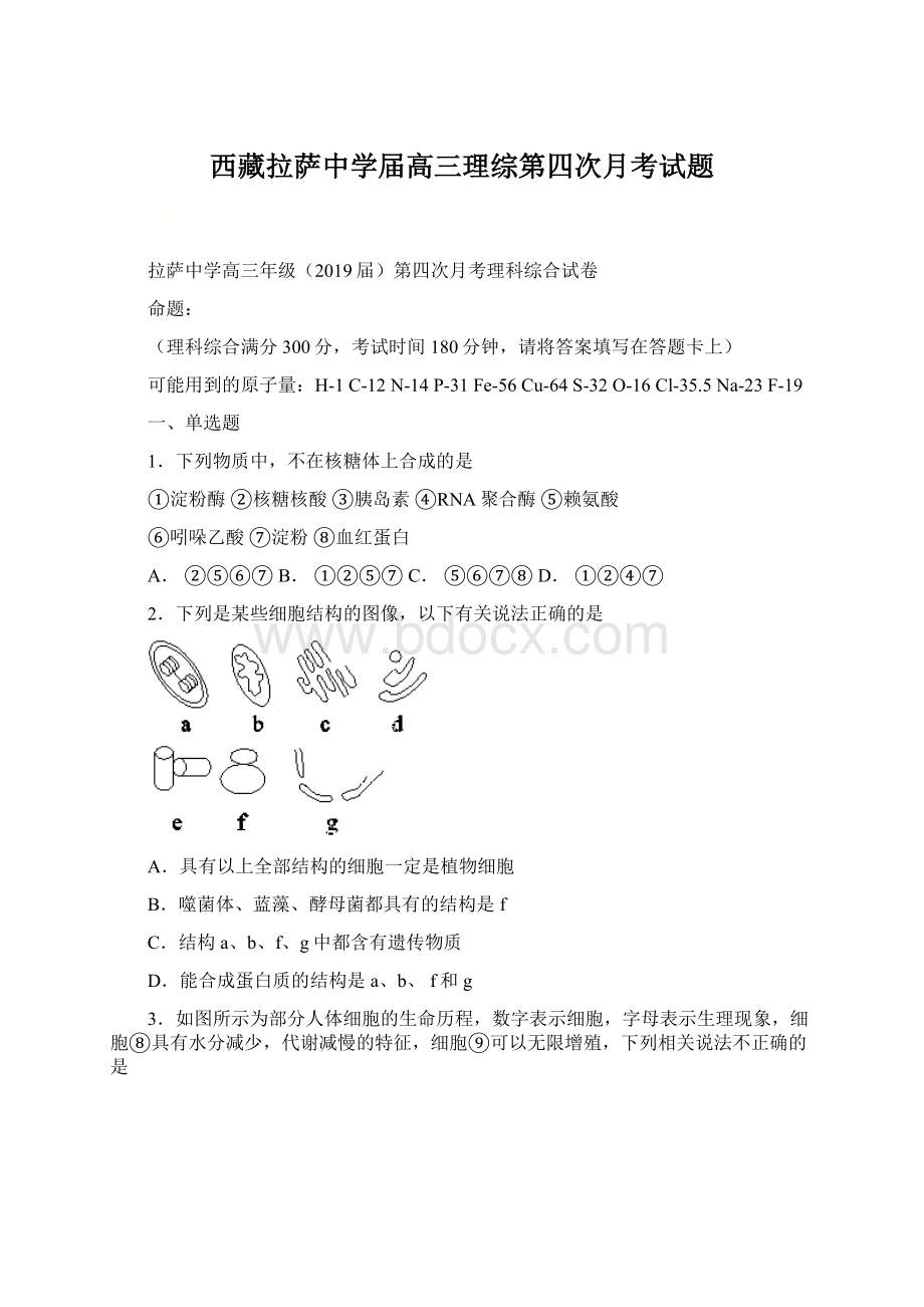 西藏拉萨中学届高三理综第四次月考试题.docx