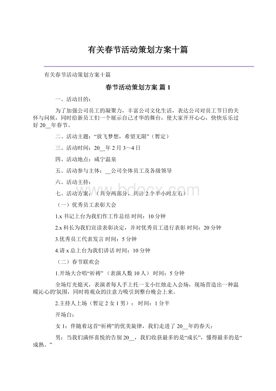 有关春节活动策划方案十篇Word文件下载.docx_第1页