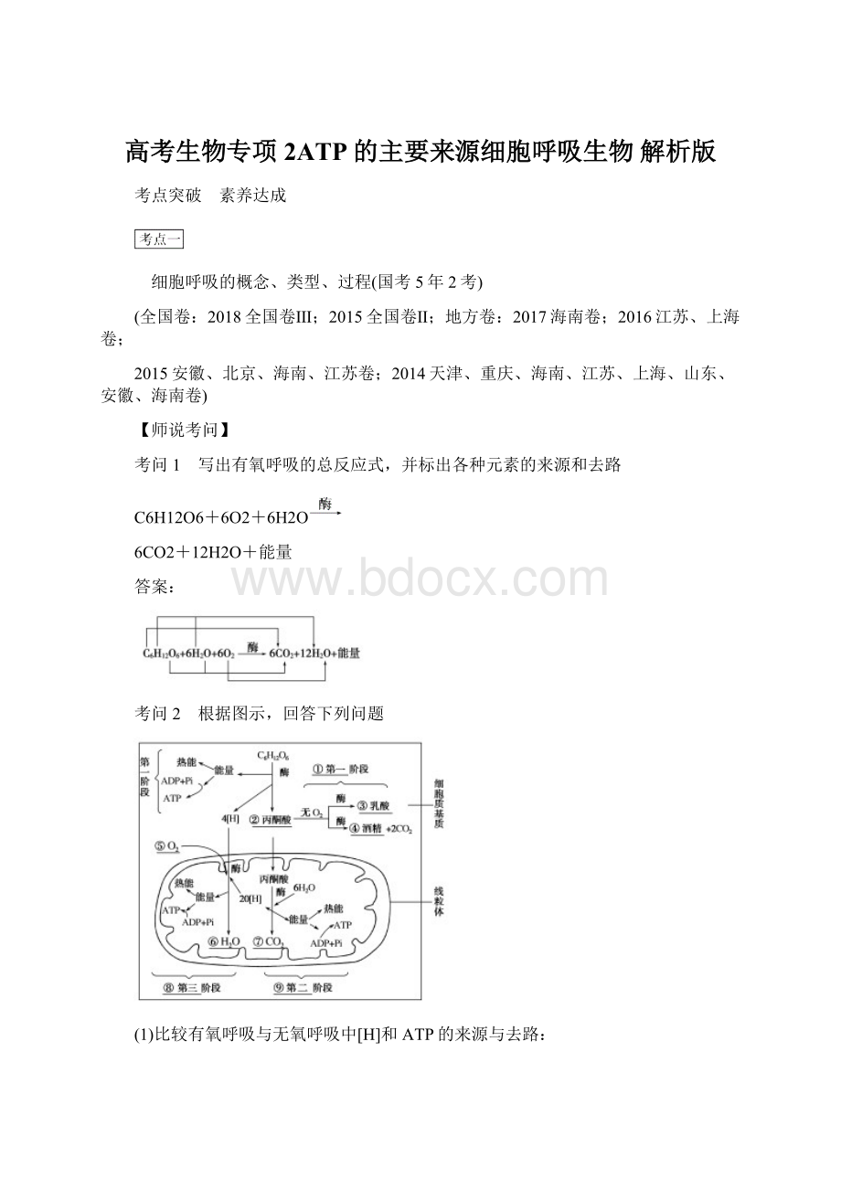 高考生物专项2ATP的主要来源细胞呼吸生物 解析版Word文档格式.docx_第1页