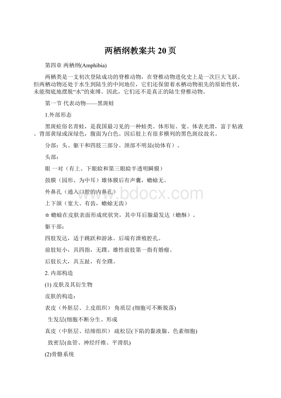 两栖纲教案共20页文档格式.docx