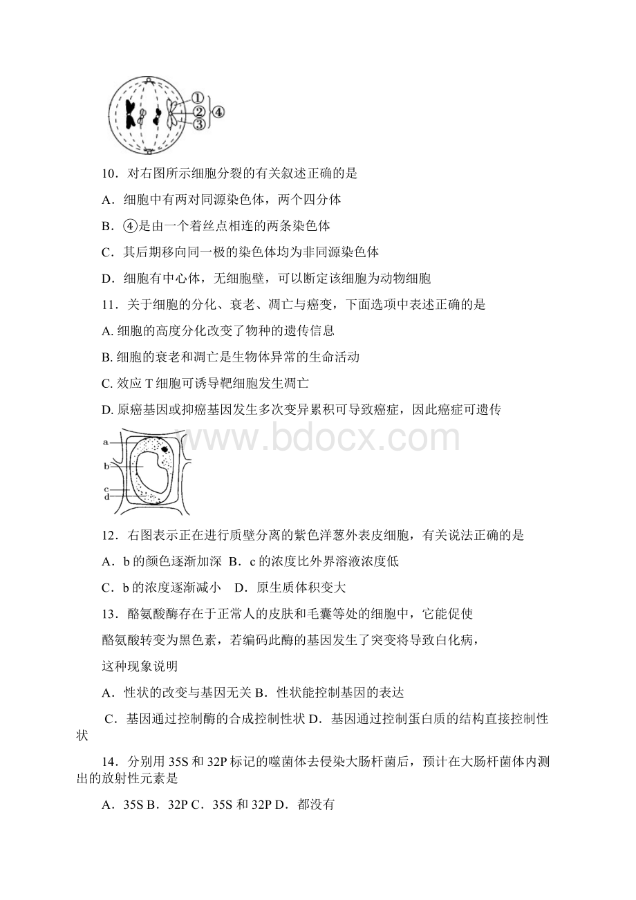 江苏省泰州市姜堰区学年高二下学期期初学业水平模拟测试生物Word下载.docx_第3页