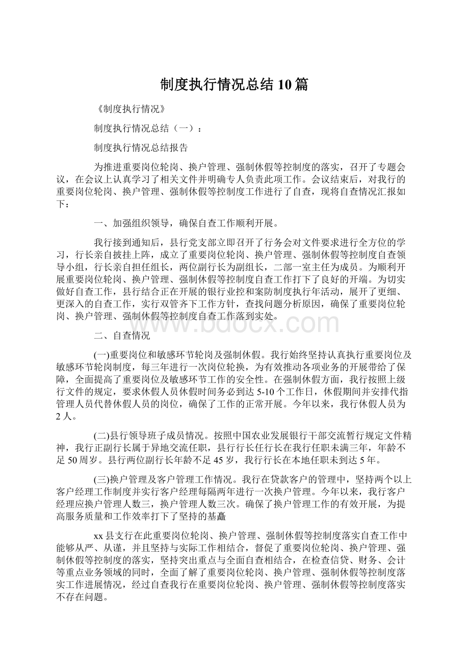 制度执行情况总结10篇.docx