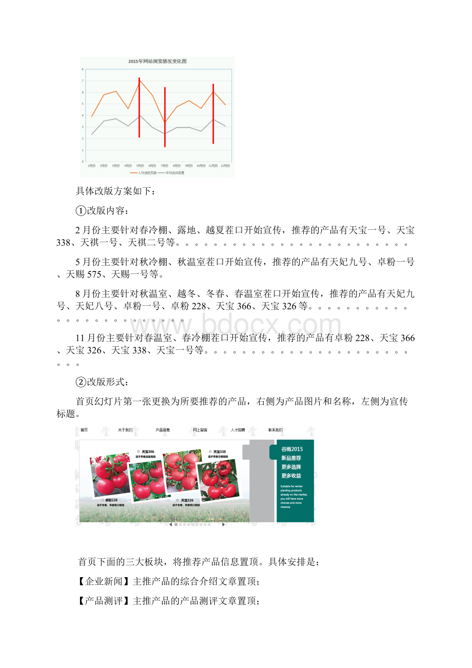 网络推广工作发展实施方案Word文档下载推荐.docx_第2页