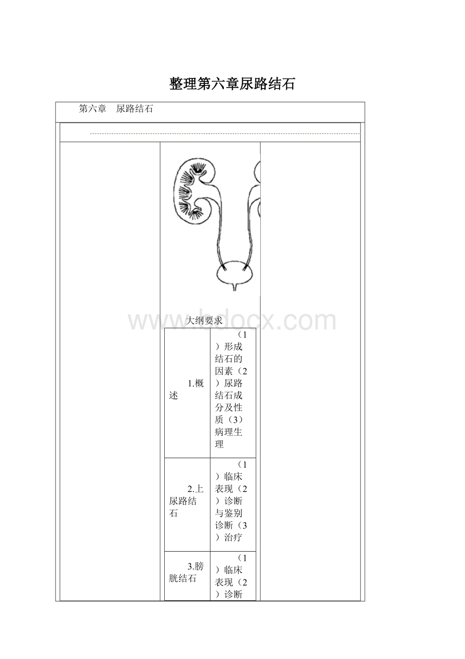 整理第六章尿路结石.docx_第1页