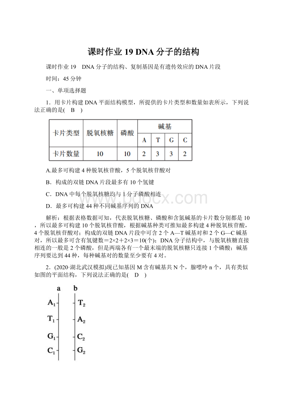 课时作业19 DNA分子的结构Word下载.docx