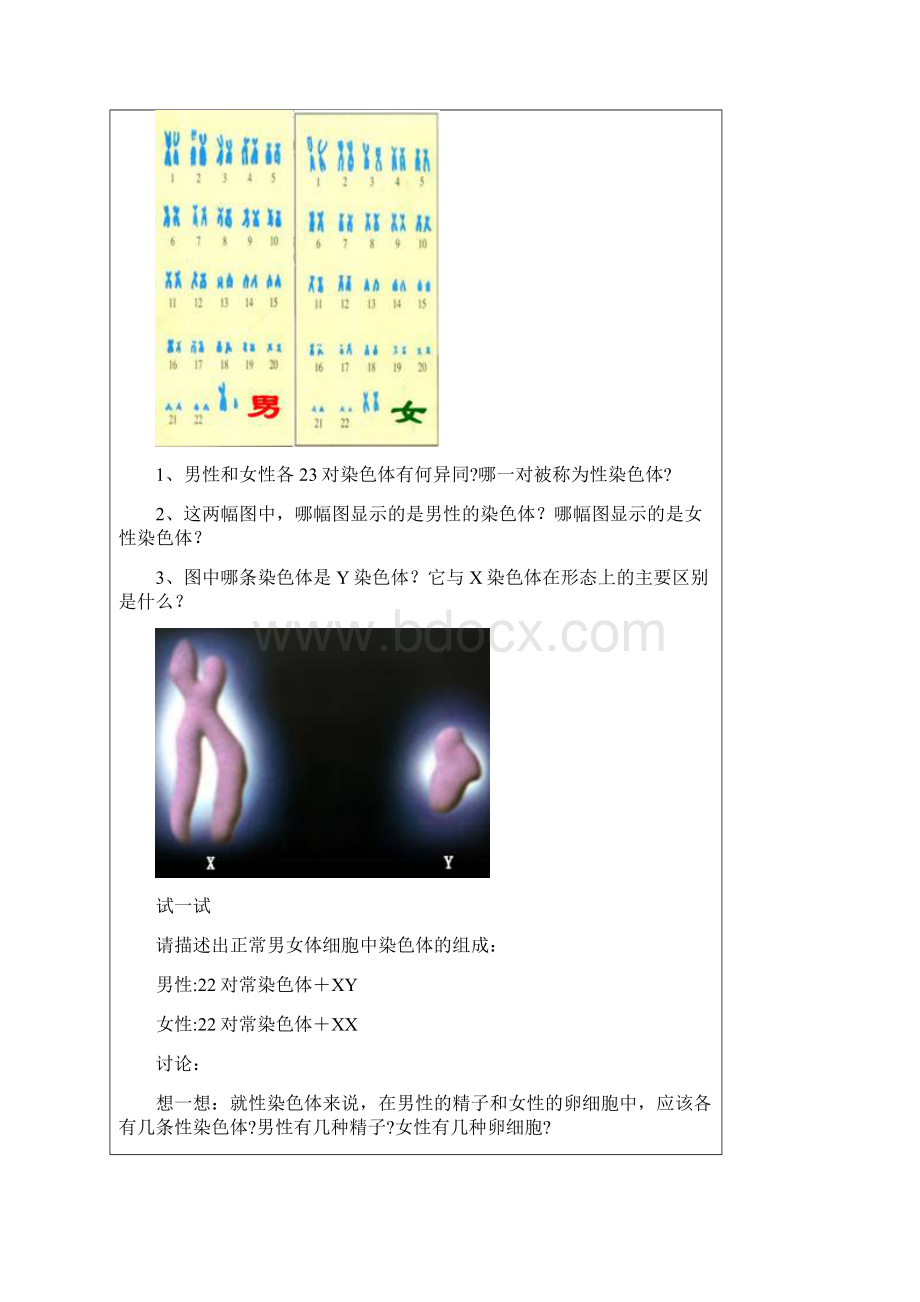 第八节人的性别遗传.docx_第3页