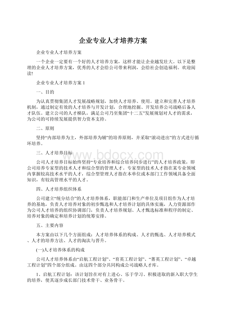 企业专业人才培养方案Word格式.docx_第1页