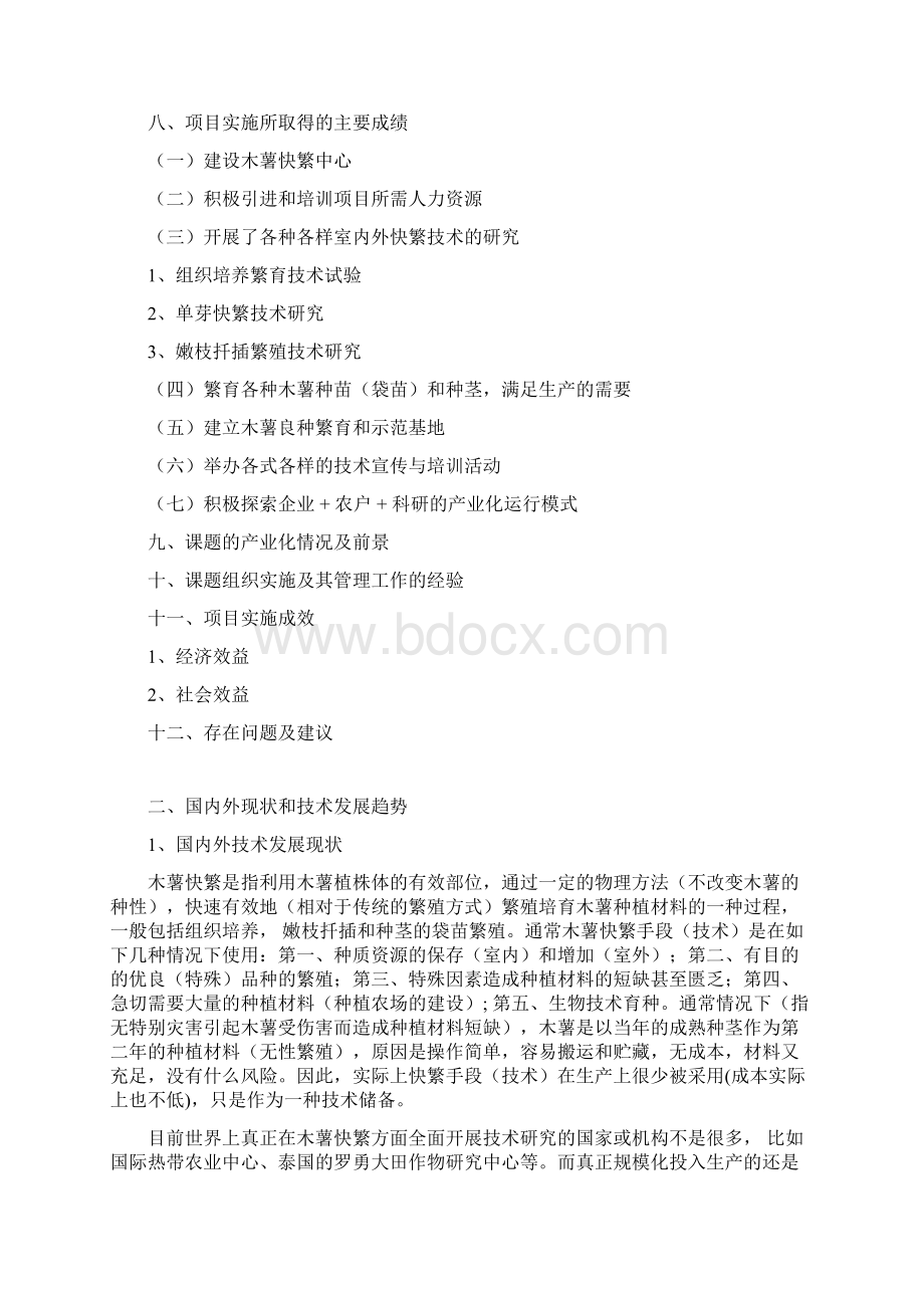 项目技术工作总结报告.docx_第2页