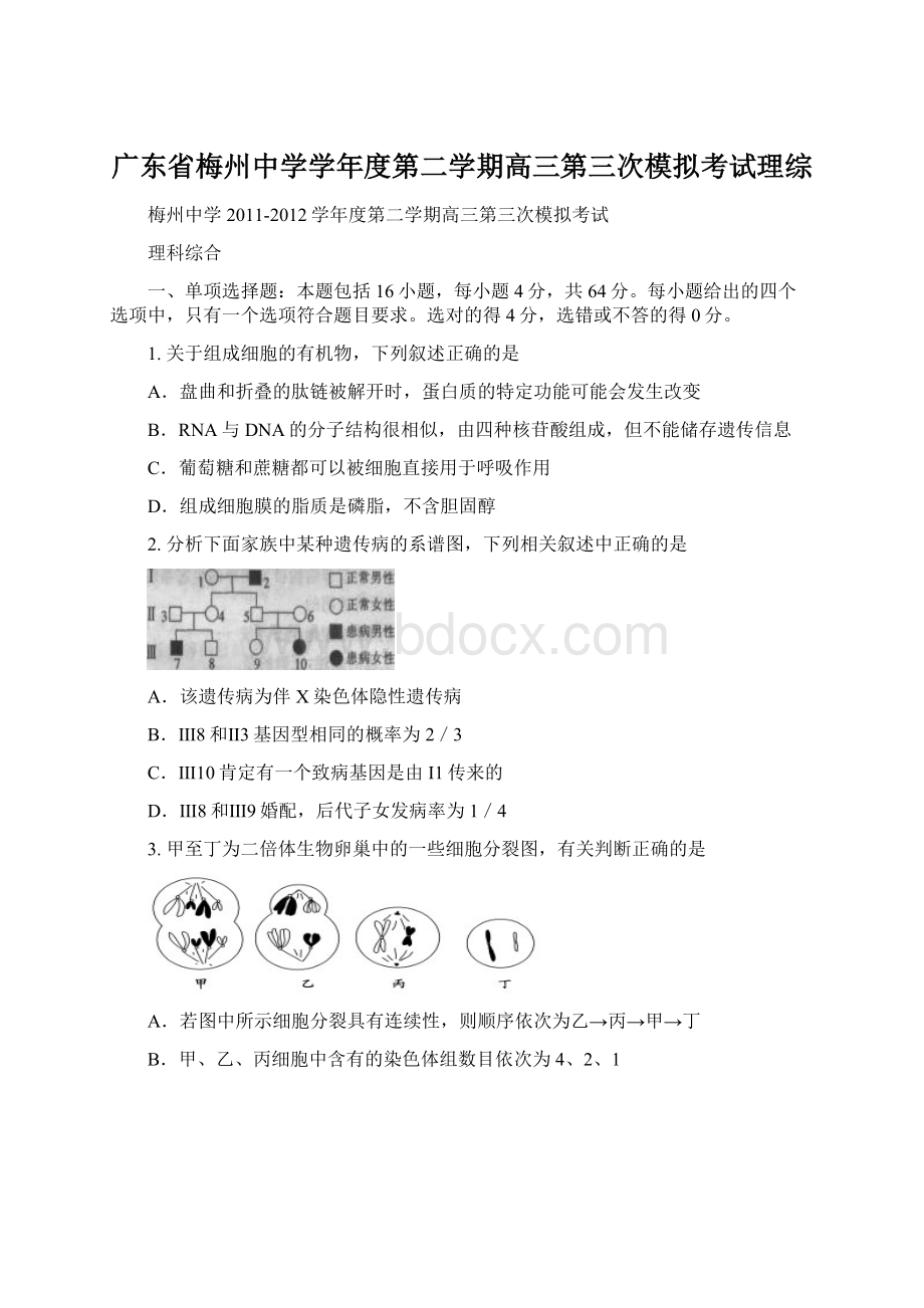 广东省梅州中学学年度第二学期高三第三次模拟考试理综Word下载.docx