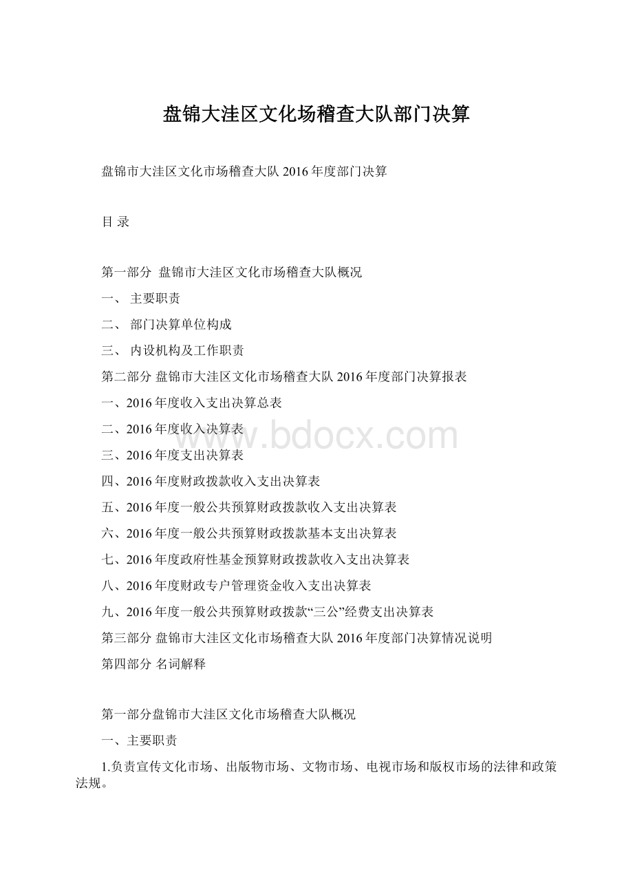 盘锦大洼区文化场稽查大队部门决算文档格式.docx_第1页