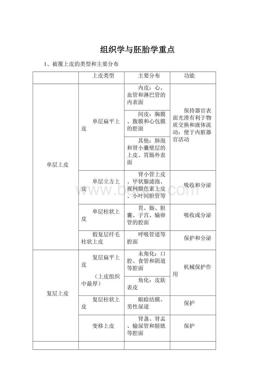 组织学与胚胎学重点.docx