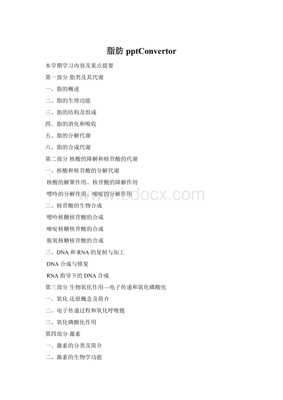 脂肪pptConvertorWord文档下载推荐.docx