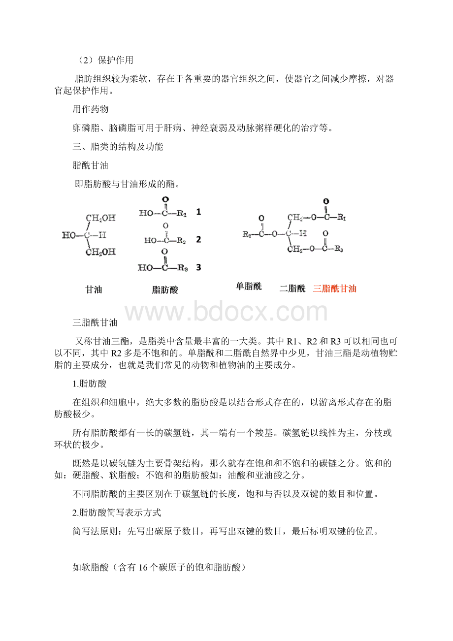 脂肪pptConvertorWord文档下载推荐.docx_第3页