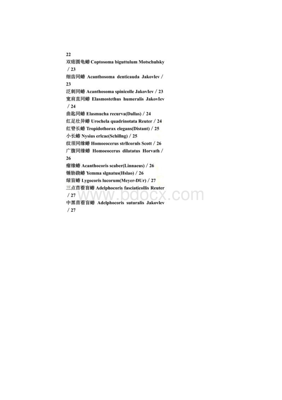 常见昆虫拉丁名.docx_第2页