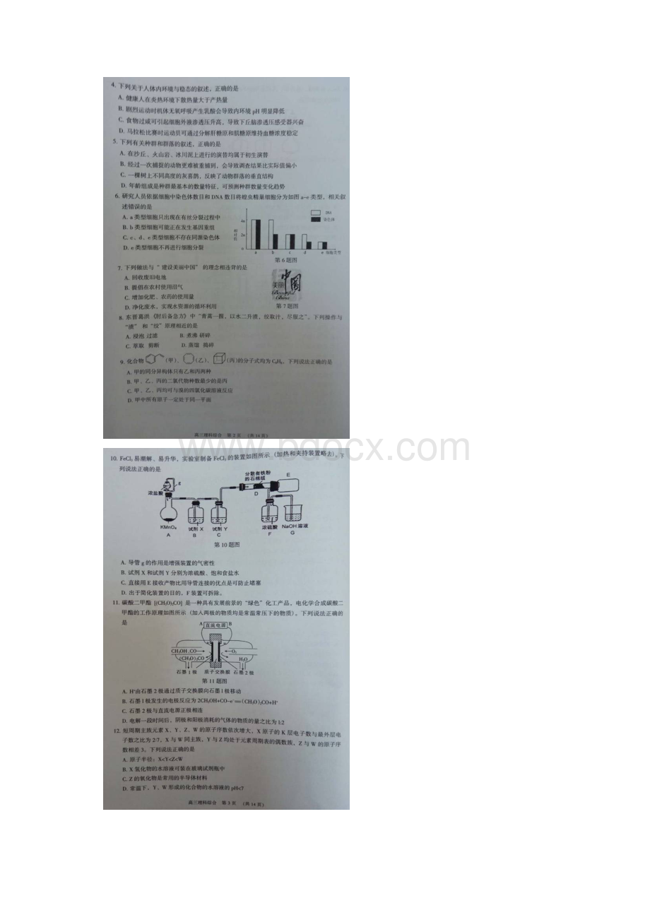 广东省东莞市高三上学期期末教学质量检查图片理综理综.docx_第2页