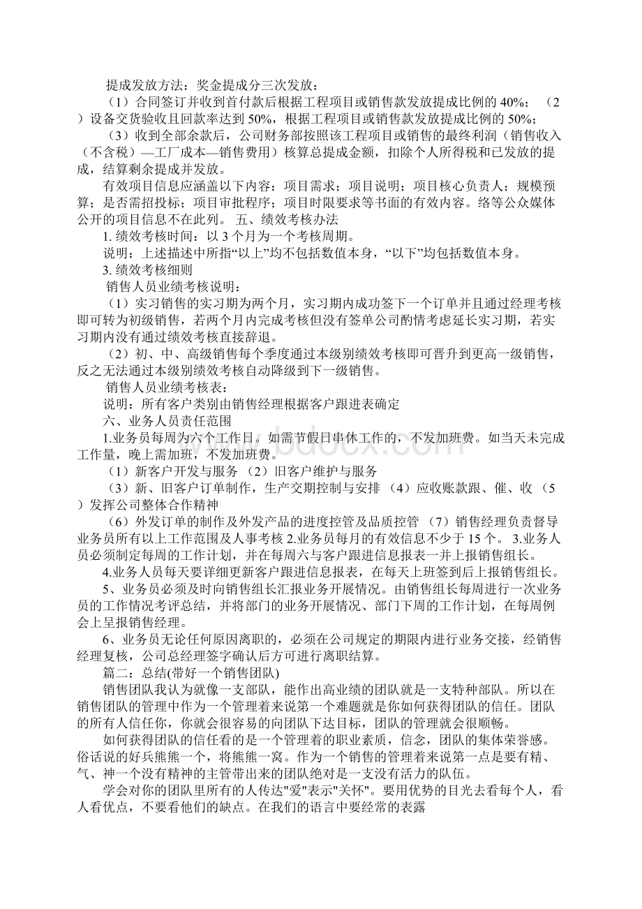 销售团队建设总结.docx_第3页