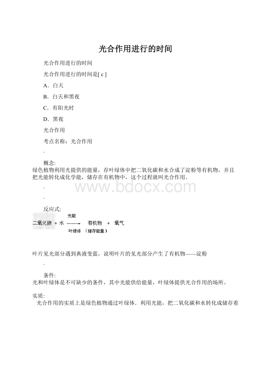 光合作用进行的时间.docx