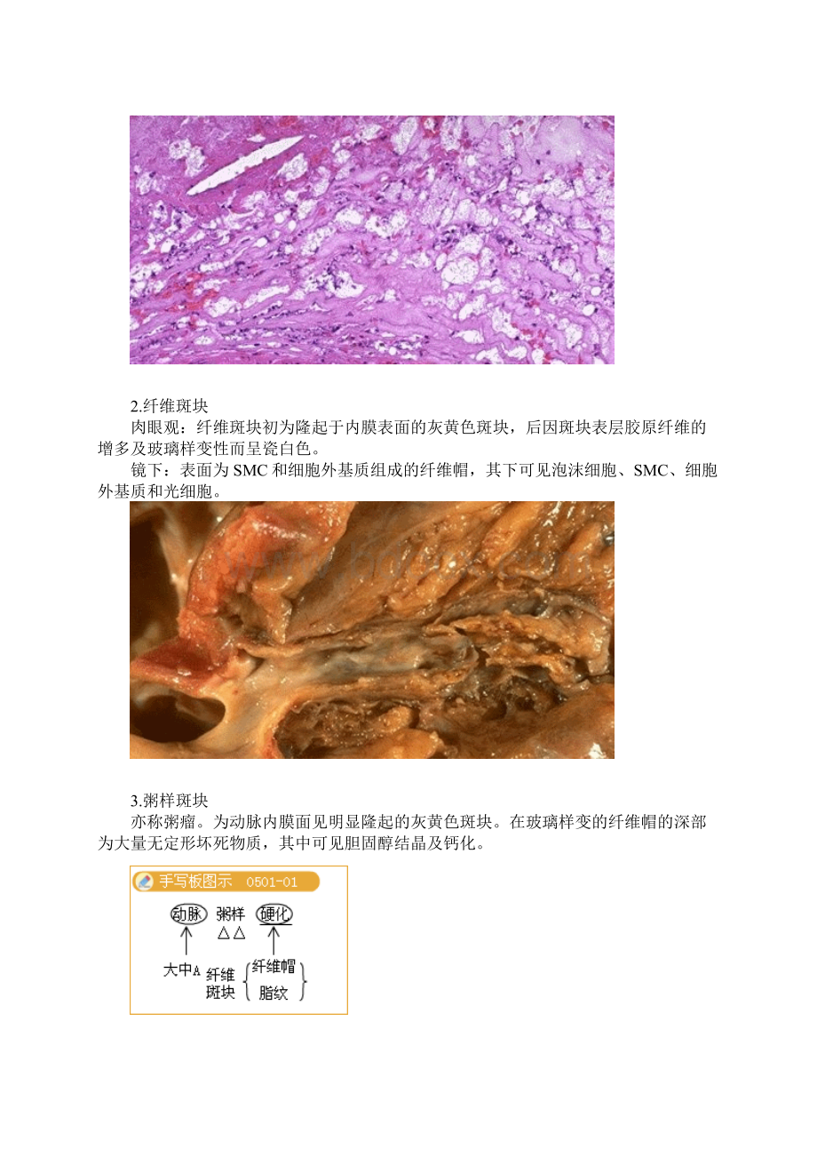 临床执业助理医师辅导讲义Word下载.docx_第2页