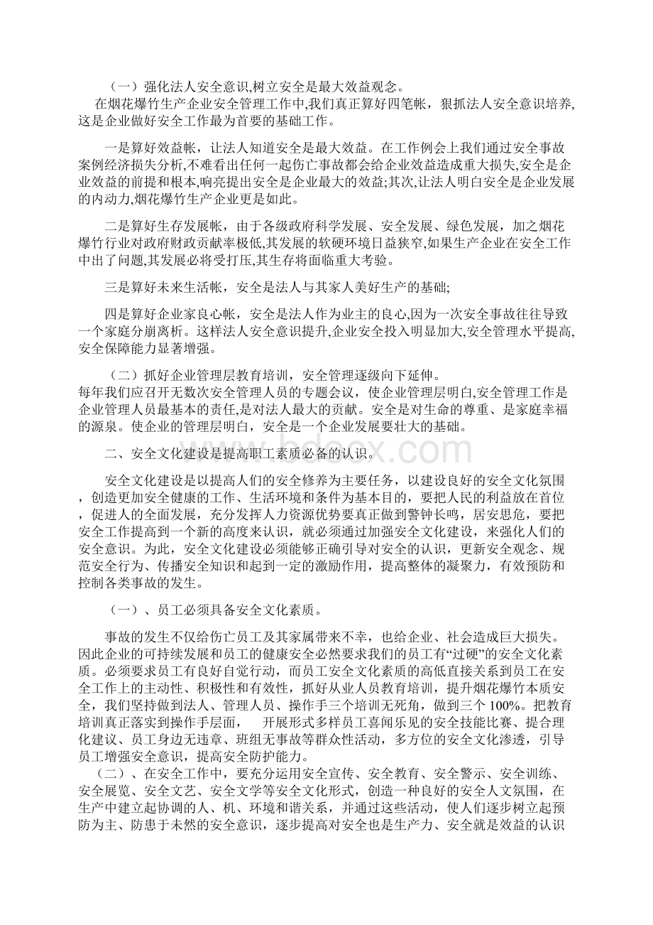 如何进行烟花炮竹安全管理Word文档下载推荐.docx_第2页