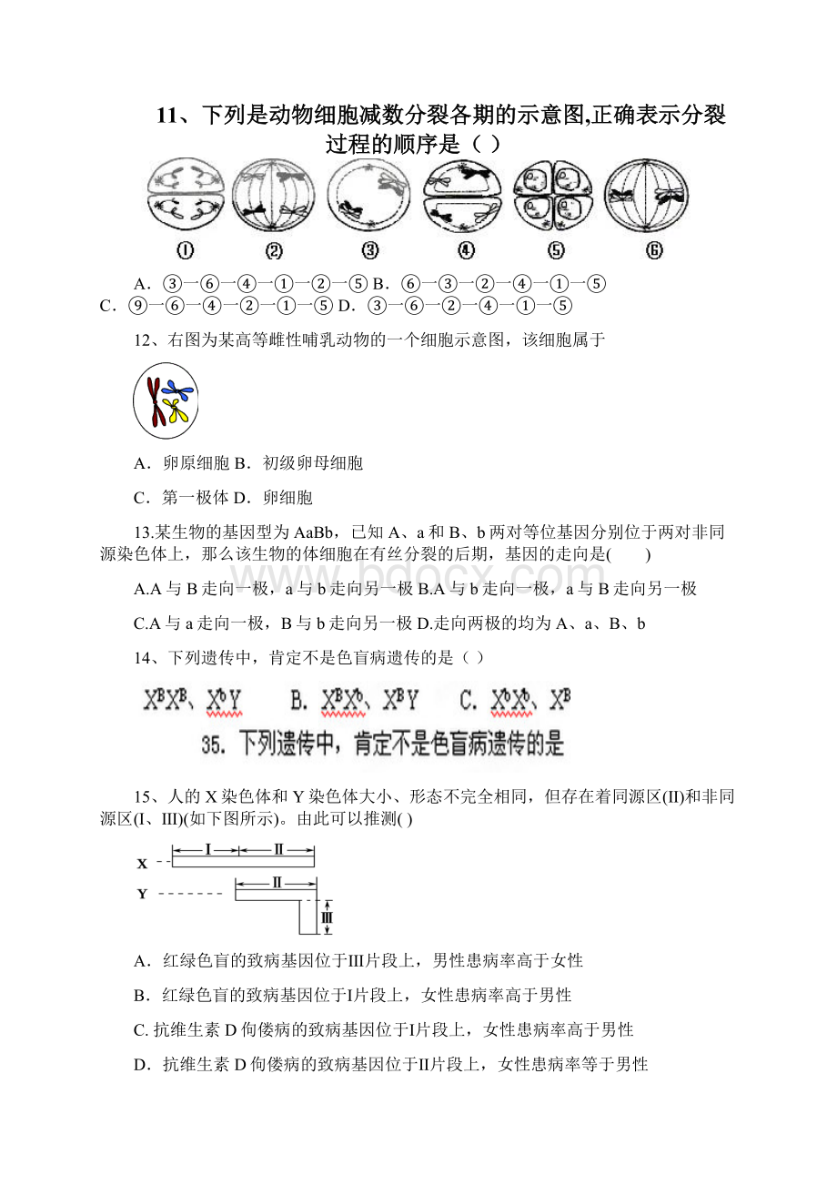 安徽省临泉一中学年上学期高二月考生物试题Word文档下载推荐.docx_第3页