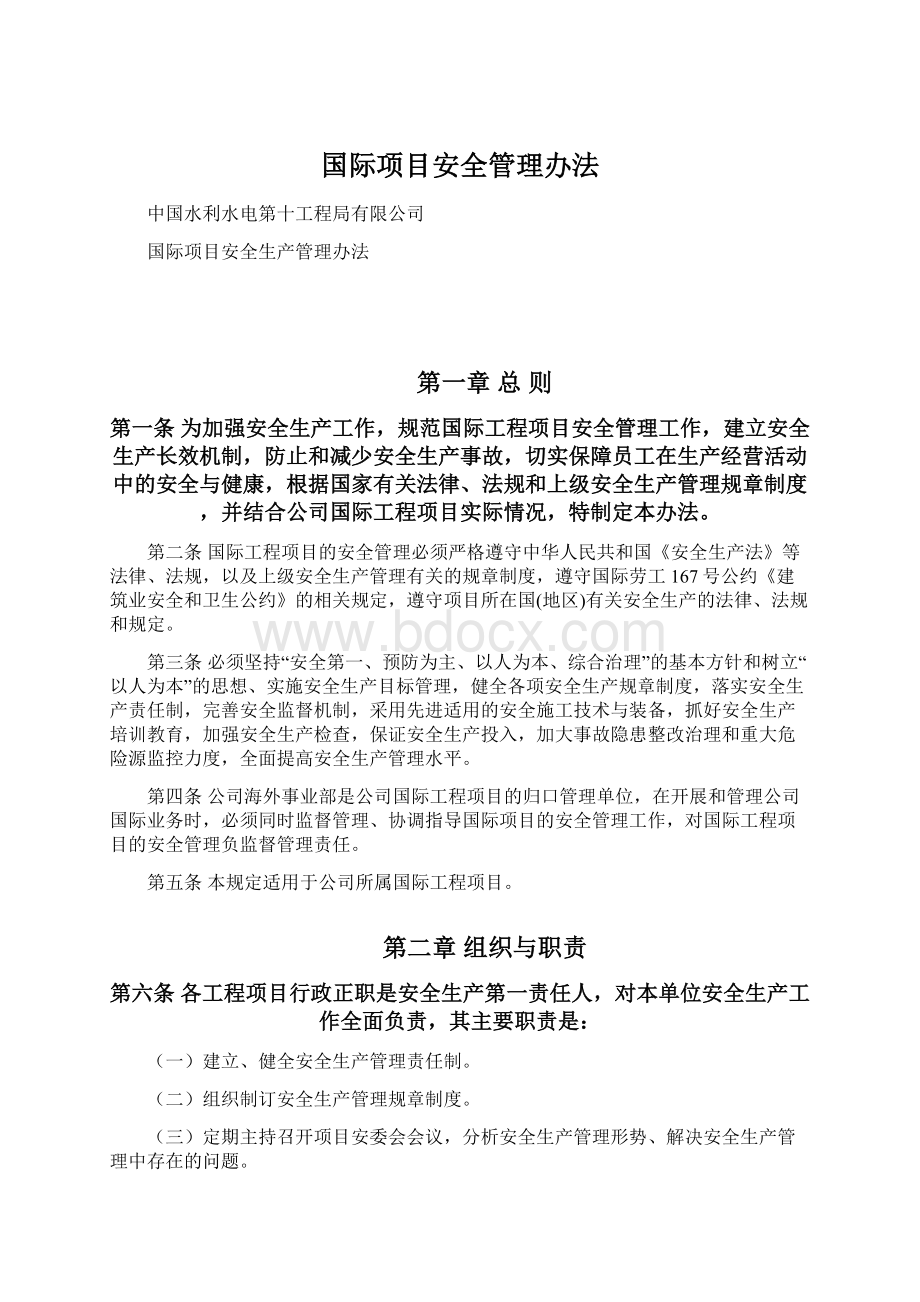 国际项目安全管理办法.docx