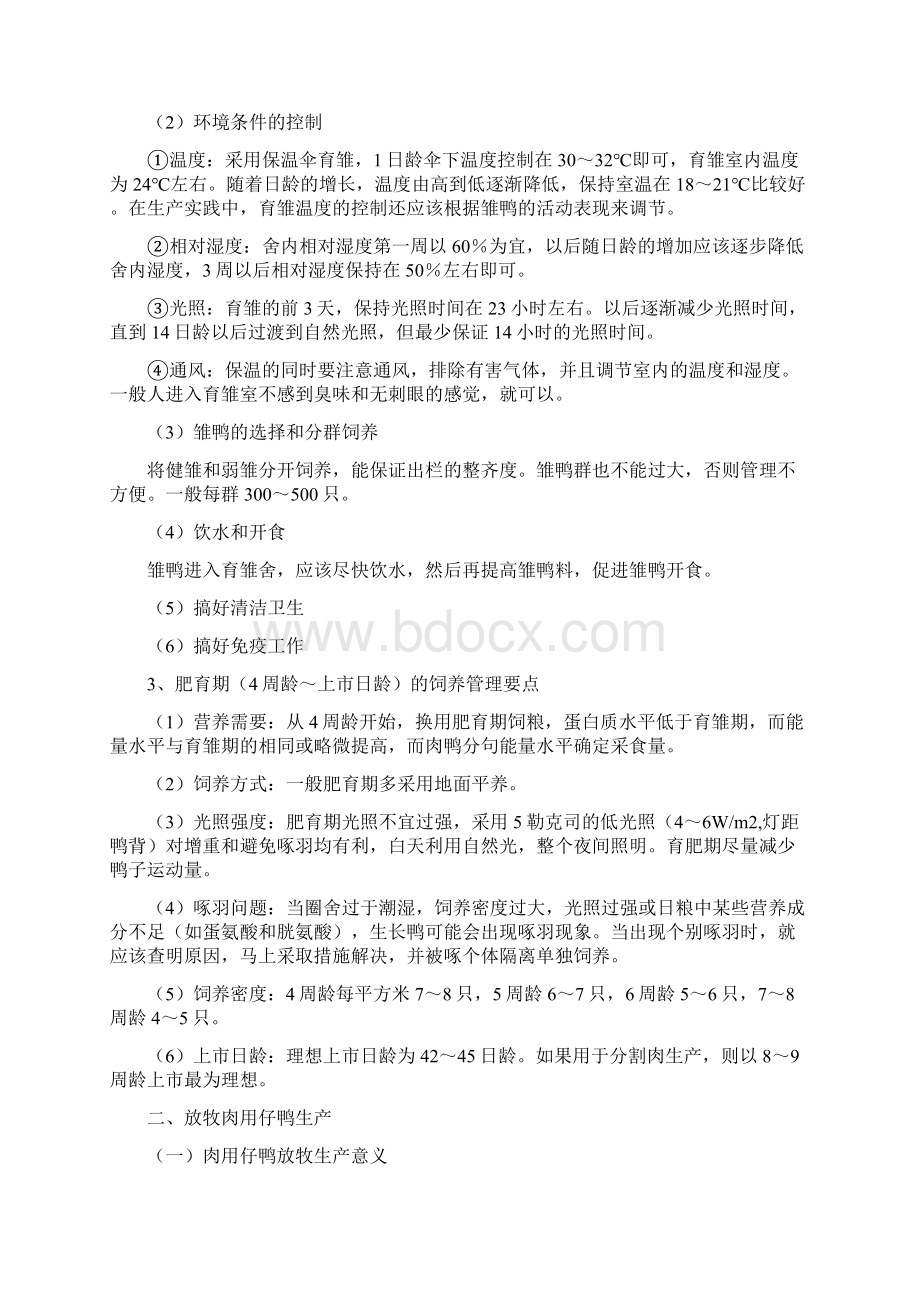 鸭饲养管理技术文档格式.docx_第2页