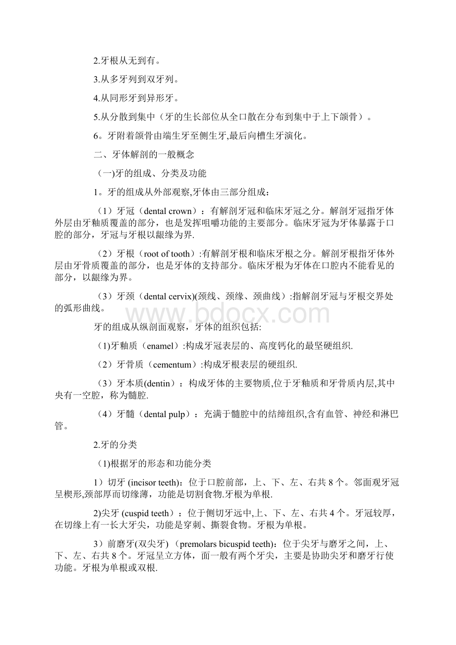 完整word版口腔解剖生理学超详细重点.docx_第2页