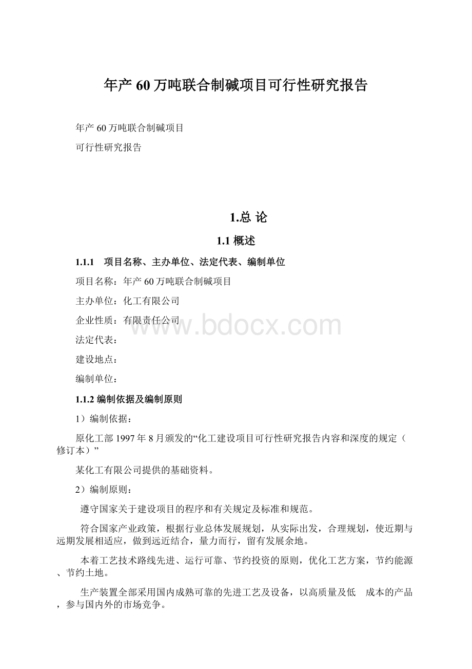 年产60万吨联合制碱项目可行性研究报告.docx_第1页