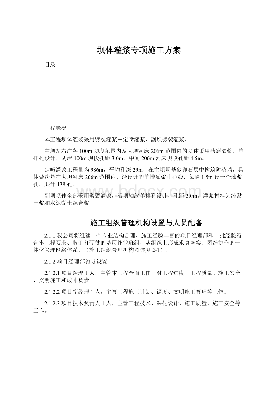 坝体灌浆专项施工方案文档格式.docx