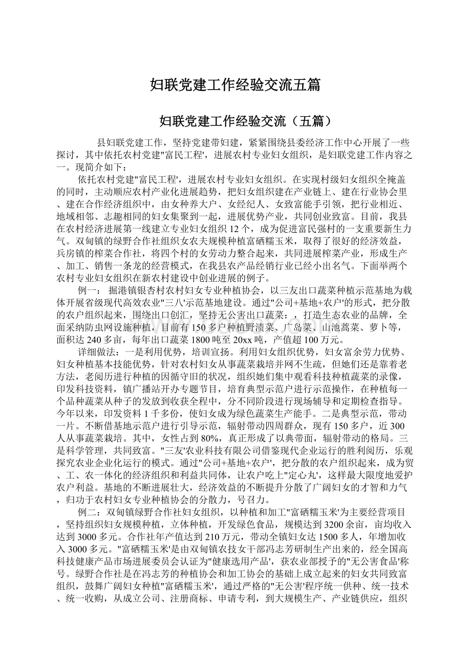 妇联党建工作经验交流五篇Word文档格式.docx