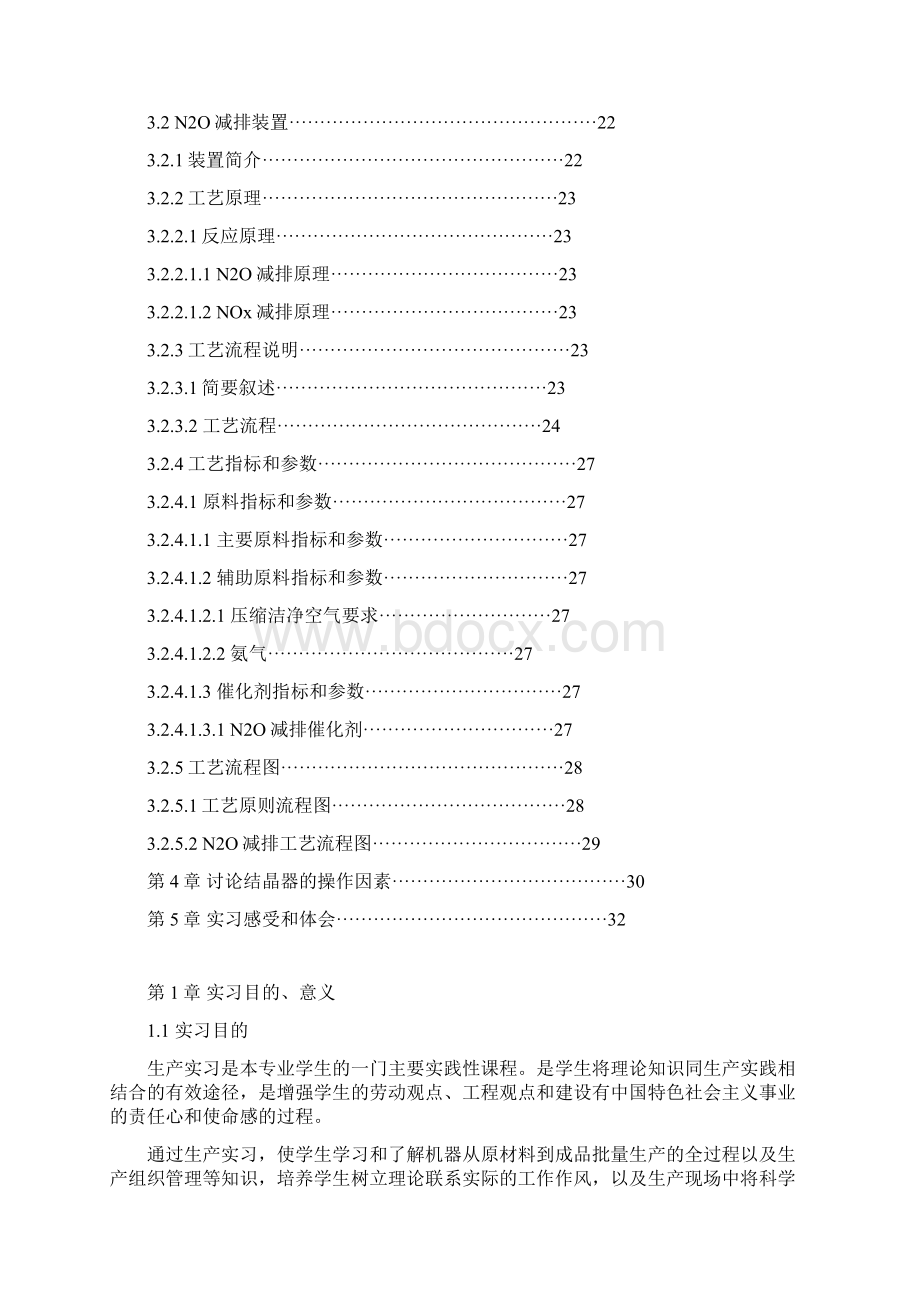 化工专业 生产实习报告模板.docx_第2页