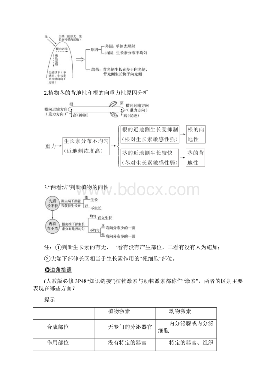 版生物高考新素养总复习新高考鲁京津琼讲义第26讲+植物的激素调节和答案Word文件下载.docx_第3页