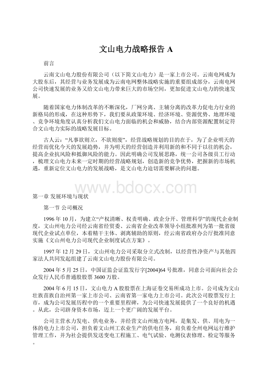 文山电力战略报告AWord文档格式.docx