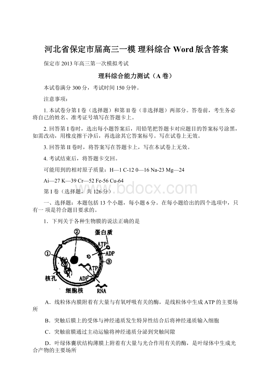 河北省保定市届高三一模 理科综合 Word版含答案Word格式.docx