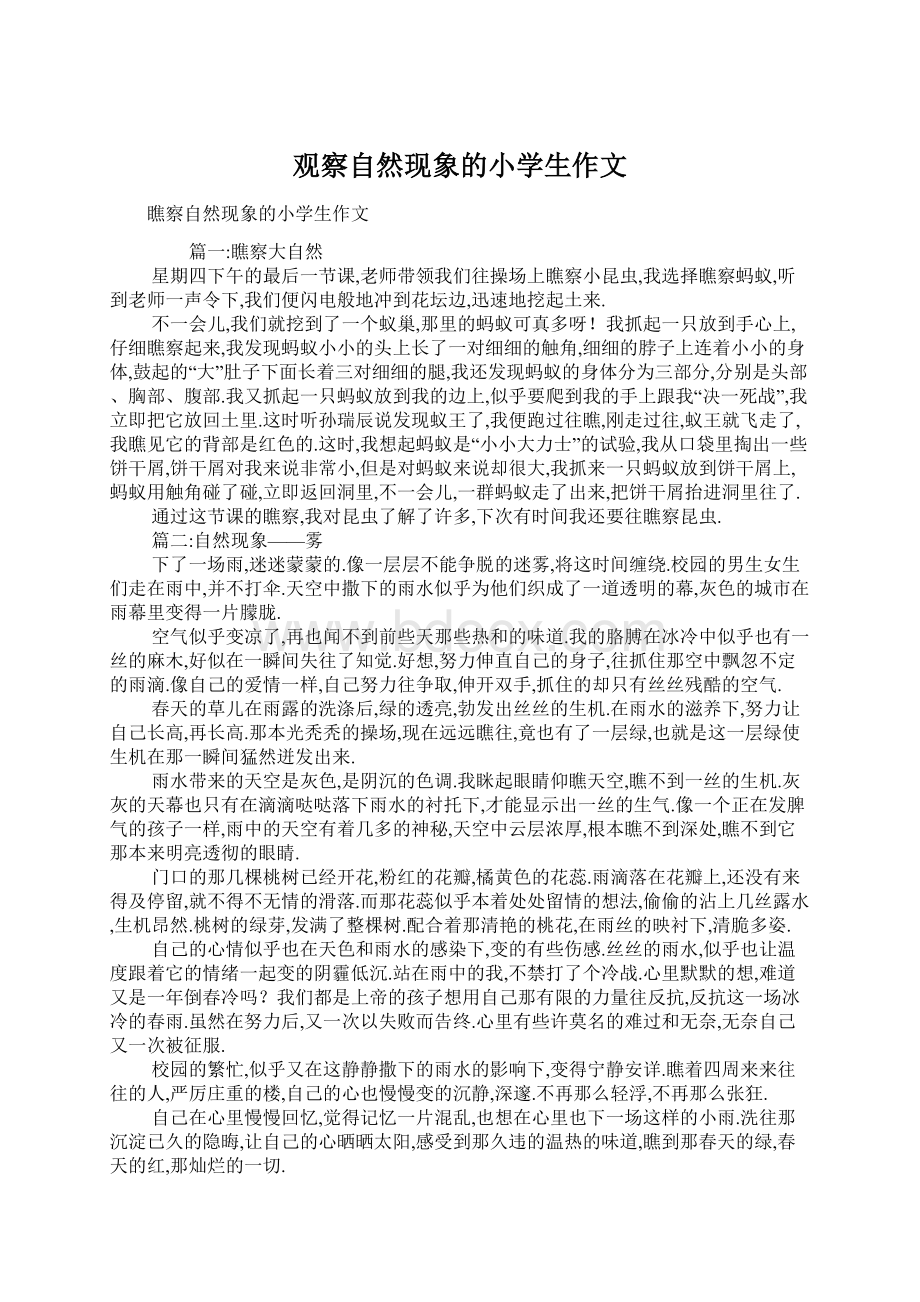 观察自然现象的小学生作文文档格式.docx