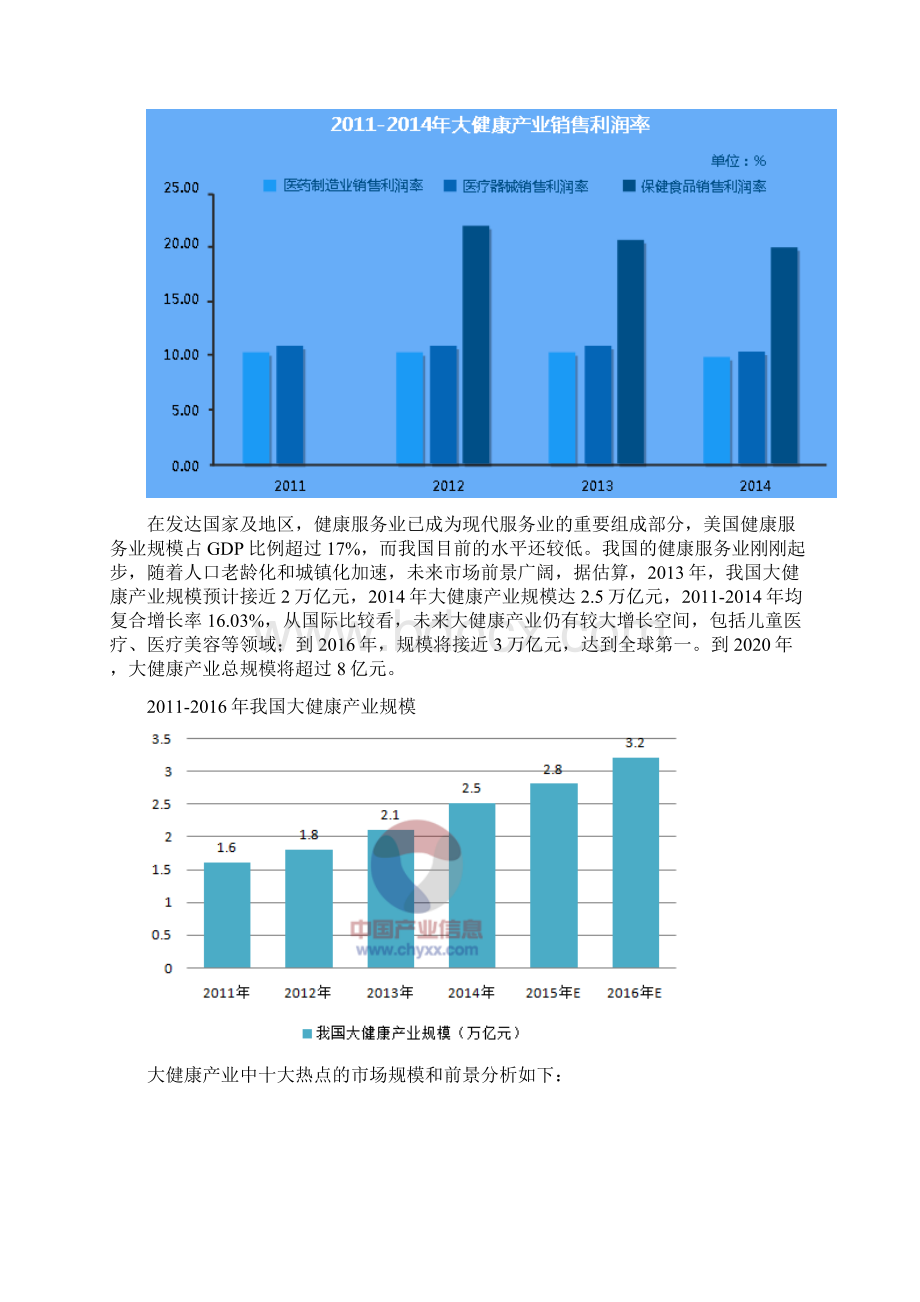 大健康产业国内外发展Word格式文档下载.docx_第2页