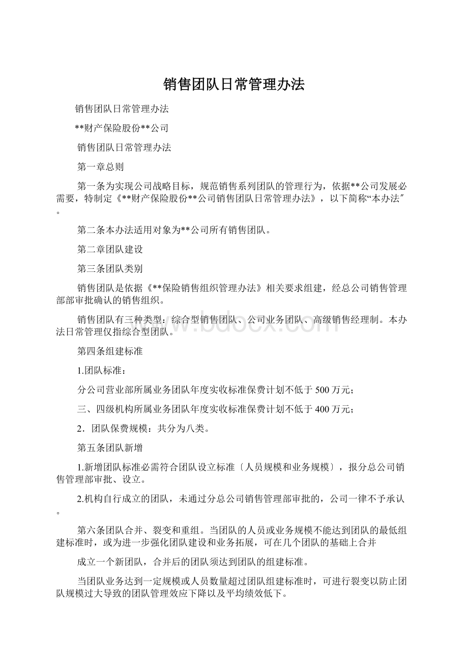 销售团队日常管理办法Word文档格式.docx