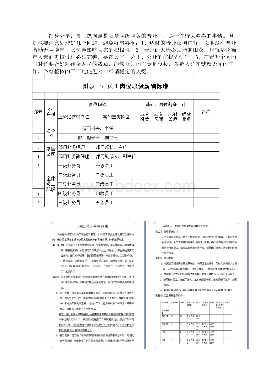 职业通道建设.docx_第2页