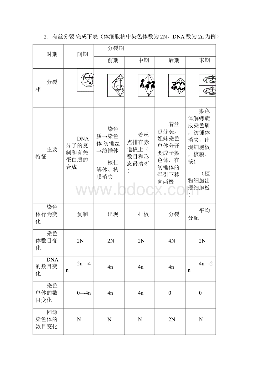 二轮复习3专题三细胞的增殖分化衰老与凋亡.docx_第3页