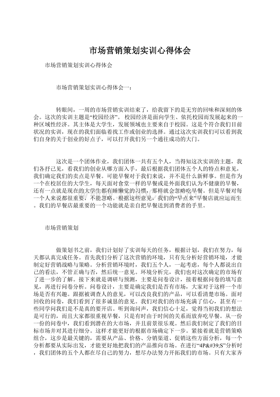 市场营销策划实训心得体会Word文档格式.docx