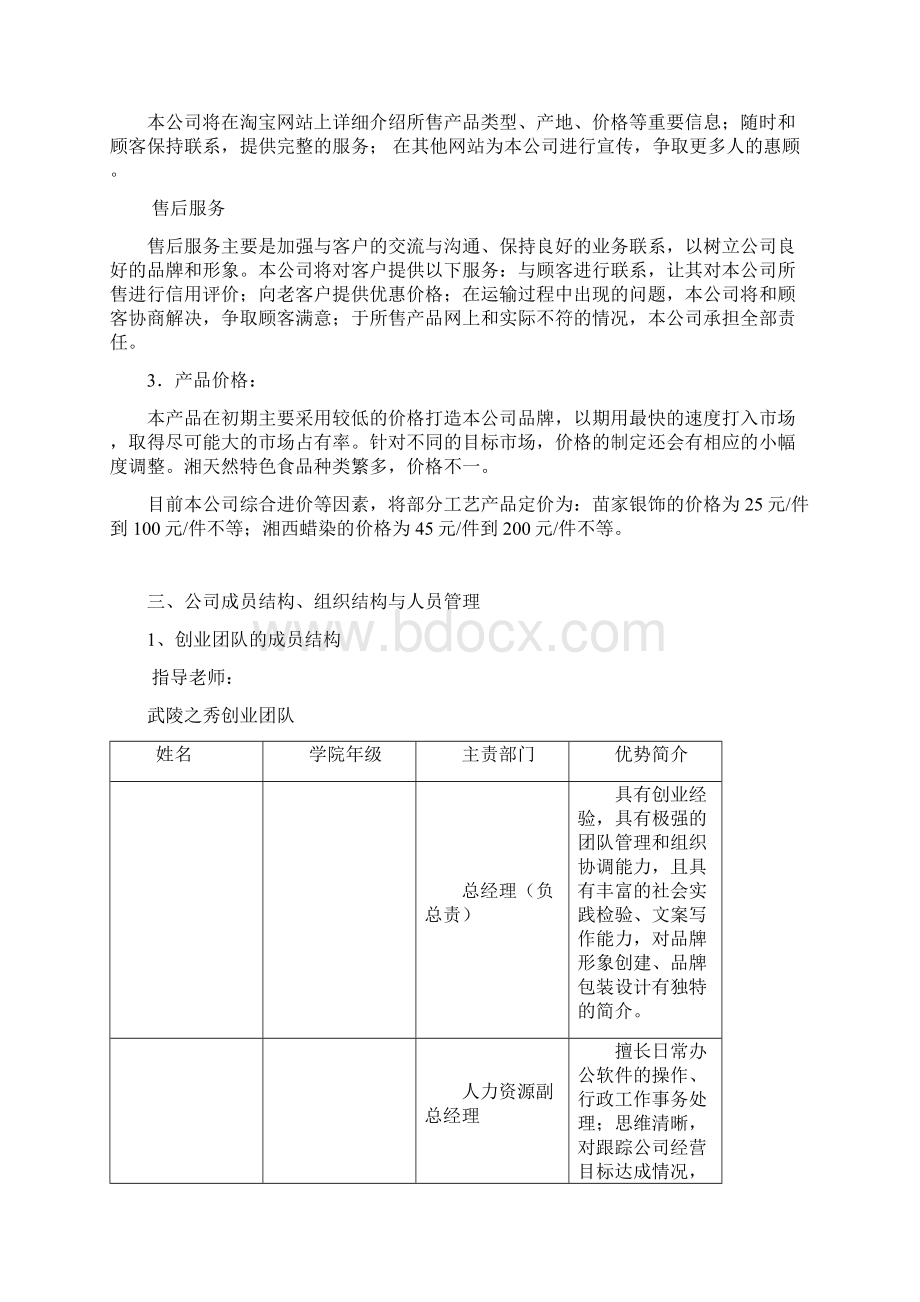 互联网+作品模板.docx_第3页