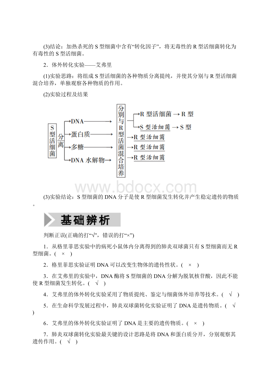 第18讲 DNA是主要的遗传物质.docx_第2页